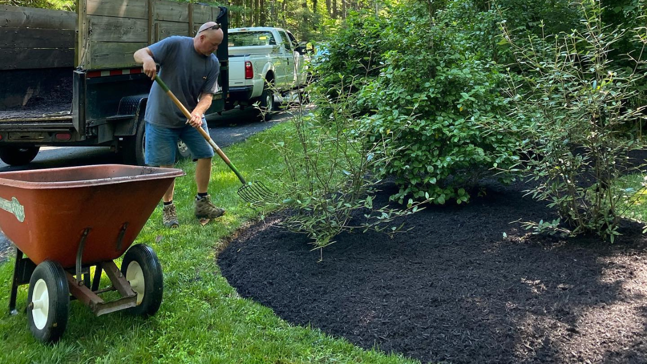 Ron using a tine to mulch a flower bed with a red wheelbarrow nearby