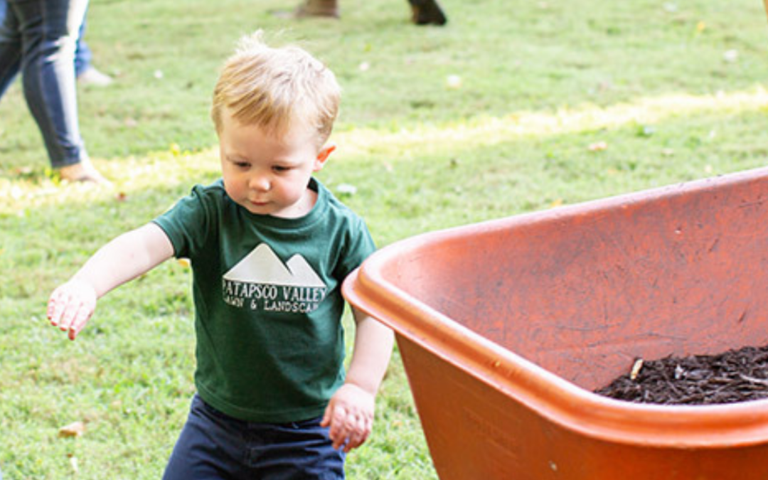 Mulching & Lawn Care Services in Laurel, MD: Keep Your Property Looking Its Best