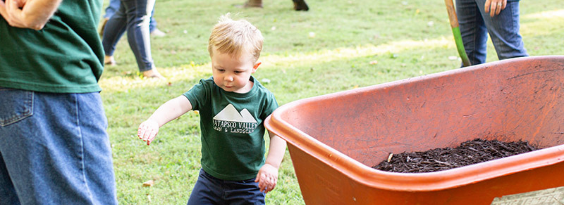 Mulching & Lawn Care Services in Laurel, MD: Keep Your Property Looking Its Best
