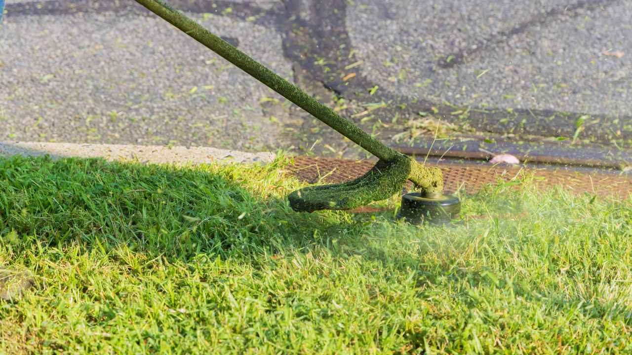 Stock Image of a Trimmer