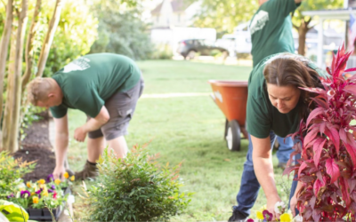 Late Summer Yard Prep: Maryland Homeowners’ Checklist